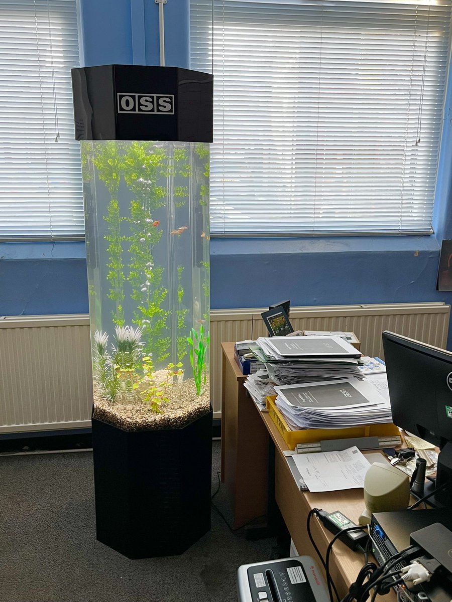 OSSSecurity's tweet image. Thank you to Dan Green and the team at @AqualeaseUK for our new tank at @OSSSecurity HQ. We look forward to the remaining batch of fish next month.
#staffwellbeing