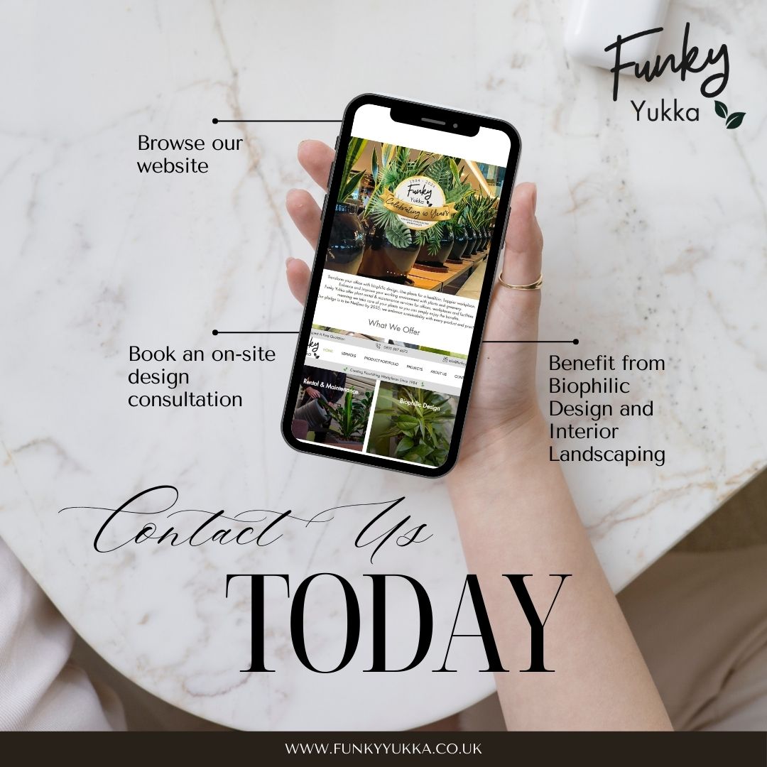 FunkyYukka's tweet photo. 📷 Time to Thrive: Invest in Workplace Wellbeing 📷
Studies show that biophilic design can significantly boost employee well-being, creativity, and productivity.
Ready to make a change?
#biophilicdesign #workplacewellness #employeehealth #funkyyukka https://t.co/pzUXJ4rb5Q
