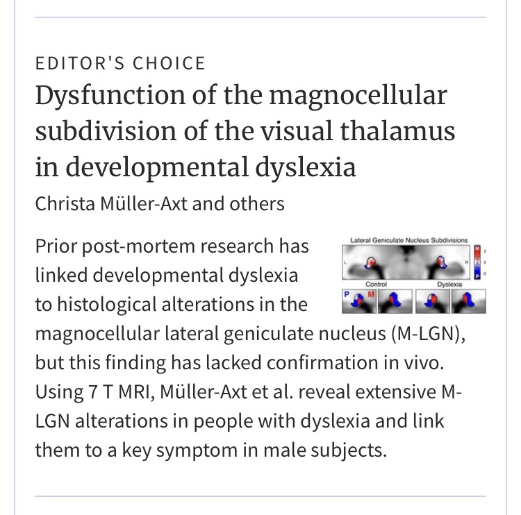 ✨ Delighted to share that our latest paper on #magnocellular #LGN subdivision differences in developmental #dyslexia was selected as Editor’s Choice for the January 2025 issue of #Brain! 🎉 <a href="/Brain1878/">Brain</a> <a href="/kvonkriegstein/">communication</a> @TUD_Science

Check it out 👉 doi.org/10.1093/brain/…