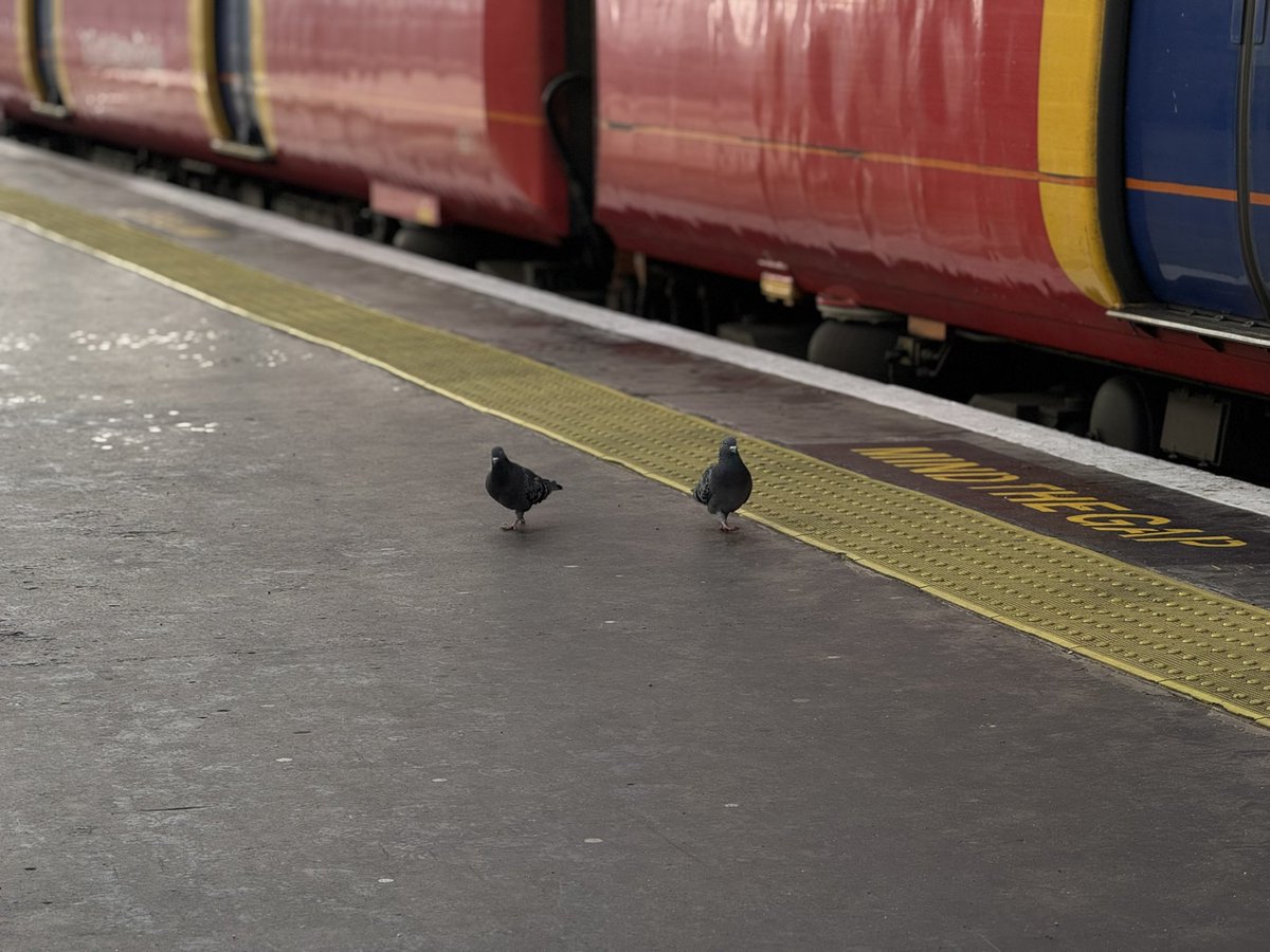 just saw <a href="/SW_Help/">SWR Help</a> successfully remove a pair of fare evaders from a train!!
well done!