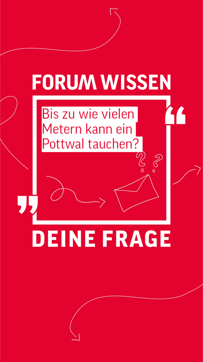 Forum Wissen GÖ (@forumwissengoe) on Twitter photo #deinefrage an die Wissenschaft!
Wie tief können #Pottwale tauchen ? 🌊
Prof. Dr. Maria Teresa Aguado Molina <a href="/uniGoettingen/">Uni Göttingen</a> beantwortet diese Frage direkt am Pottwalskelett @biodiversitygoe im #ForumWissen.
youtube.com/shorts/tO0p49w… #deinefrage an die Wissenschaft!
Wie tief können #Pottwale tauchen ? 🌊
Prof. Dr. Maria Teresa Aguado Molina <a href="/uniGoettingen/">Uni Göttingen</a> beantwortet diese Frage direkt am Pottwalskelett @biodiversitygoe im #ForumWissen.
youtube.com/shorts/tO0p49w…