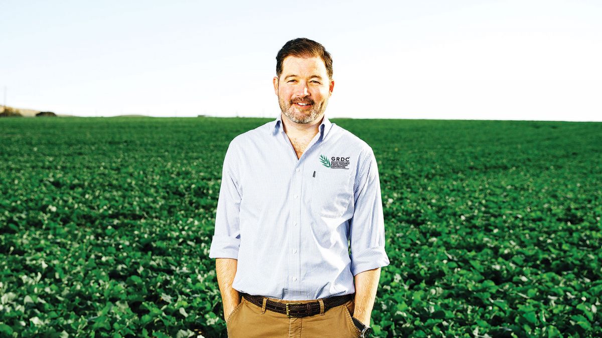 GRDC_NVT's tweet photo. For the past 20 years, the #NVT program has aimed to test varieties on growers’ paddocks in a way that is easily comparable and that reflects regional conditions.

Read more ▶️ https://t.co/iUBSUiHKIM
Visit the NVT Celebrating 20 Years page ▶️ https://t.co/f8hjXh74x4

#NVT20Years https://t.co/fyoG5d8b8V