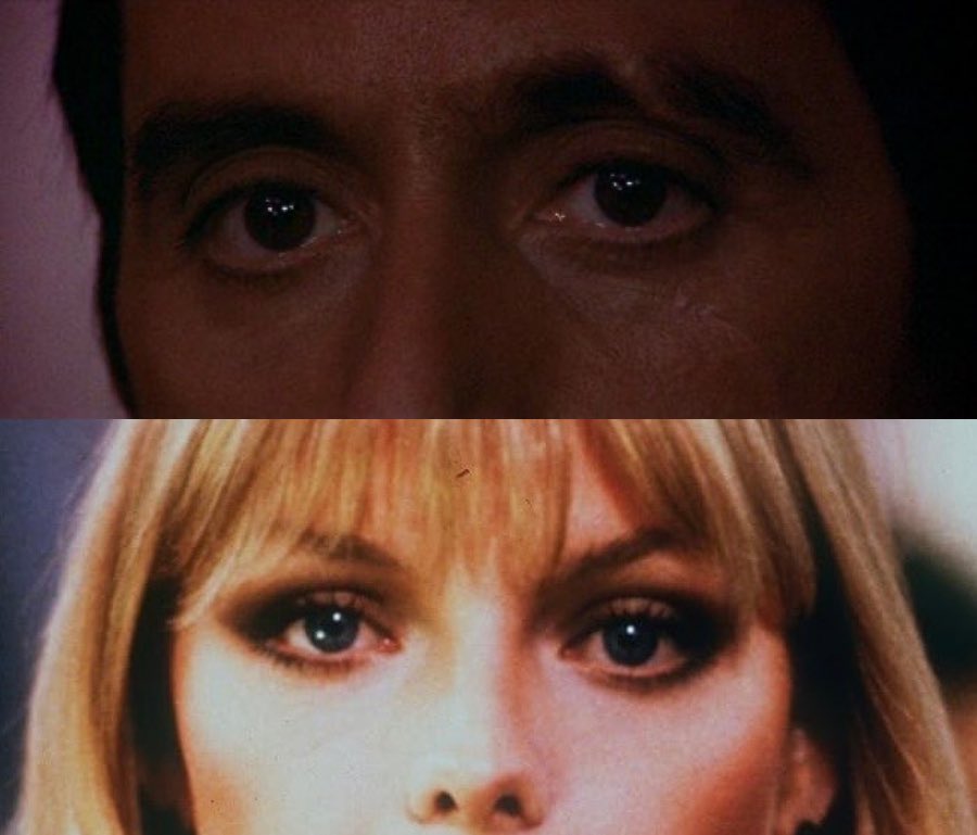 The eyes, Chico, they never lie. 👀