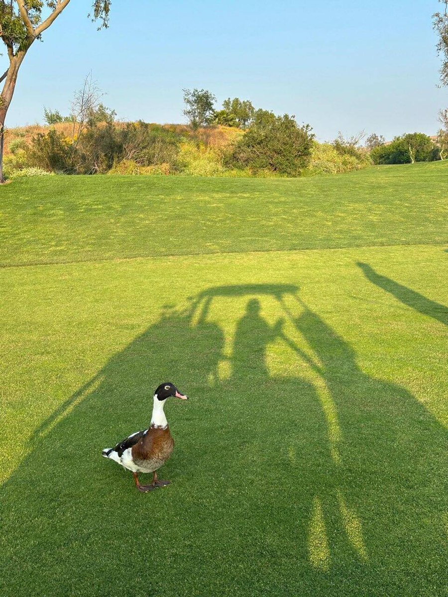 Francesca Maxwell (@deyne471978) on Twitter photo 