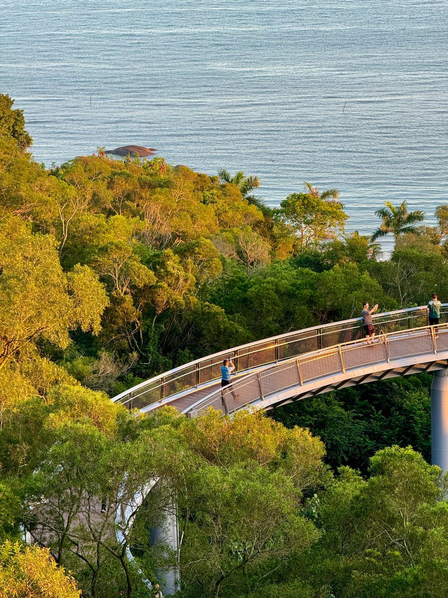 DeyttarTmFM2q's tweet image. 