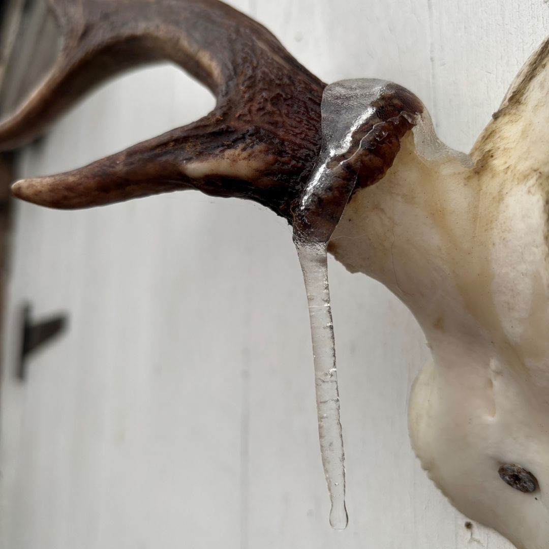 We hope you're all managing to stay warm while you're out stalking!
I'm interested to hear how you find the cold weather affects your deer movements....