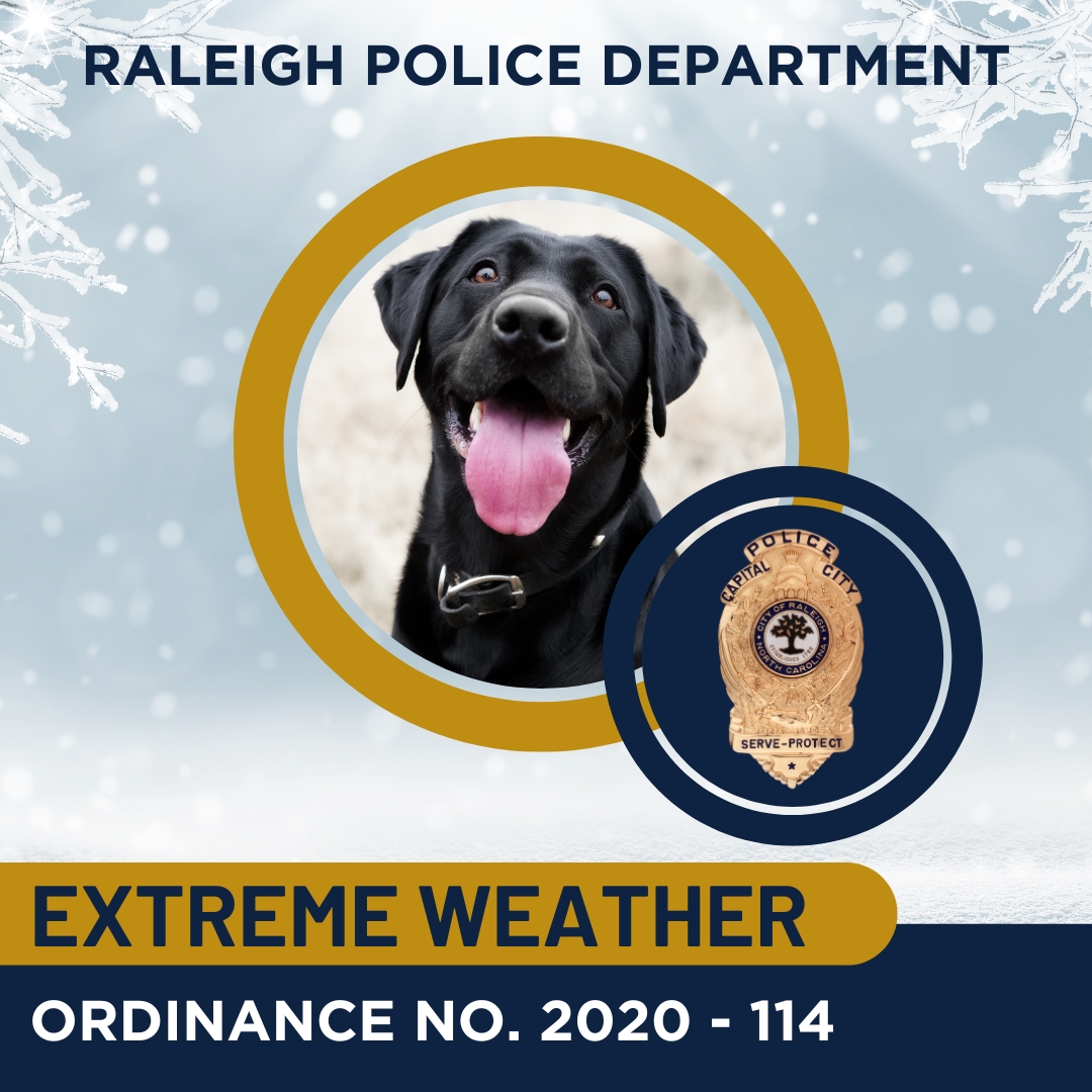 raleighpolice's tweet photo. Remember to take care of your animals, especially on days when extreme weather &amp; warnings are in effect. When temperatures are below 40 degrees, it is extremely dangerous for animals to be left unattended outside &amp; without shelter. Please reference ORDINANCE NO. 2020 - 114 ❄️ https://t.co/cOUFoxAJXg