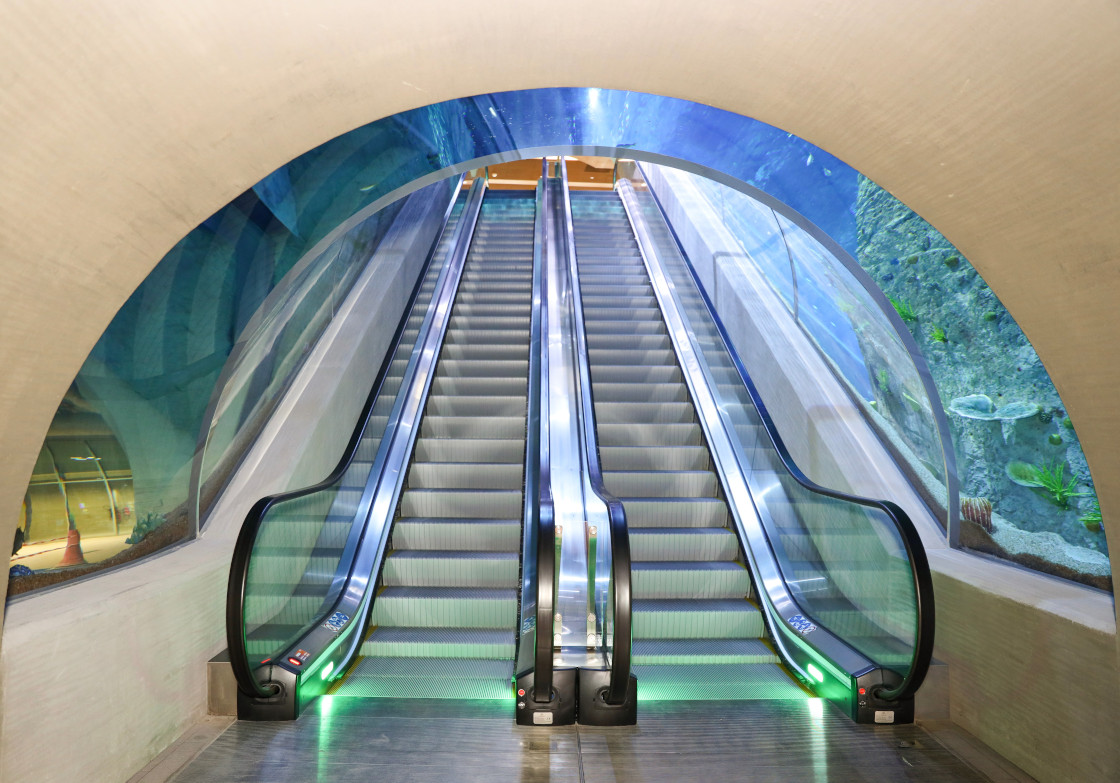 AirportSupplier's tweet image. TK Elevator recognized for innovative mobility solutions with two Elevator World 2025 Project of the Year Awards airport-suppliers.com/supplier-press… #TKElevator #TKE #ProjectoftheYearAwards #Airports #AirportElevators