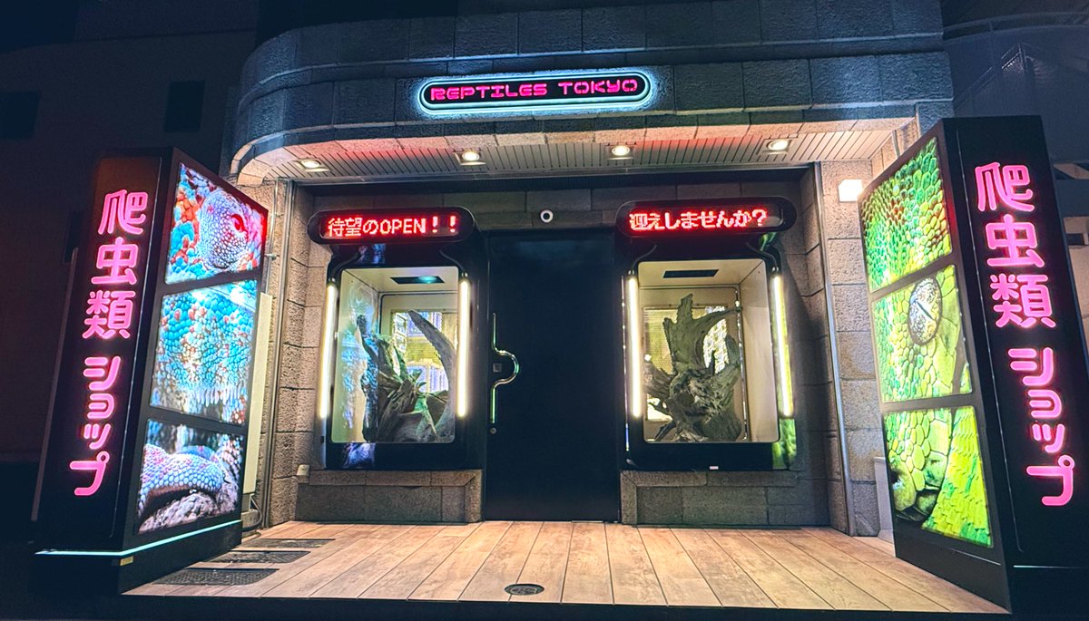 reptilestokyo_a's tweet image. REPTILES TOKYO 秋葉原本店
OPEN記念 Special プレゼントキャンペーン 👑
YouTubeの動画通り本オープン日が1/17(金)決定しました!
店舗住所と営業時間はこちら↓
〒101-0021
東京都千代田区外神田5-4-13
TRUST VALUE外神田1階
12:00〜21:00  火曜水曜定休日
OPENを記念しまして…