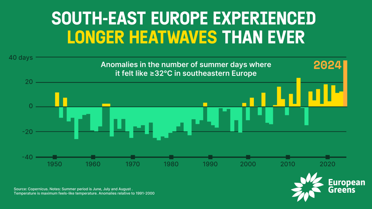 European Greens tweet media