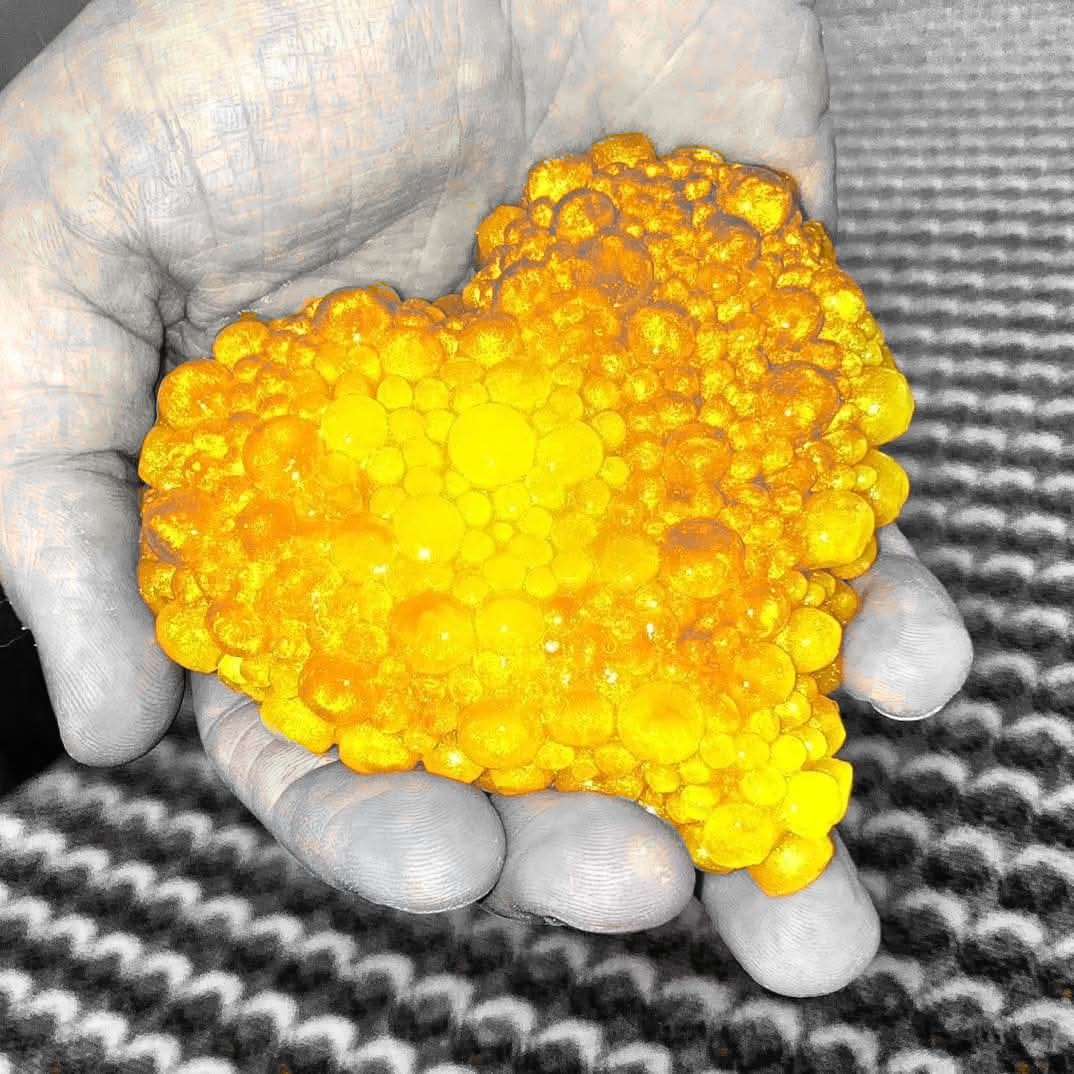 Andrew Usher 🏴󠁧󠁢󠁳󠁣󠁴󠁿 🎭 🏊 tweet media