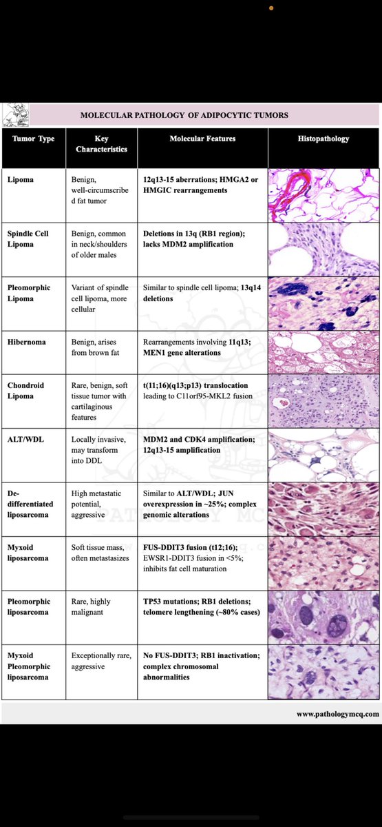 🔬✨ Dive into the molecular pathology of adipocytic tumors! Understanding the key characteristics, molecular features, and histopathology of these fascinating entities is vital for diagnosis and research. 🧠💡

Perfect for those preparing for #NEETSS and #FRCPath! 🩺 #pathboards