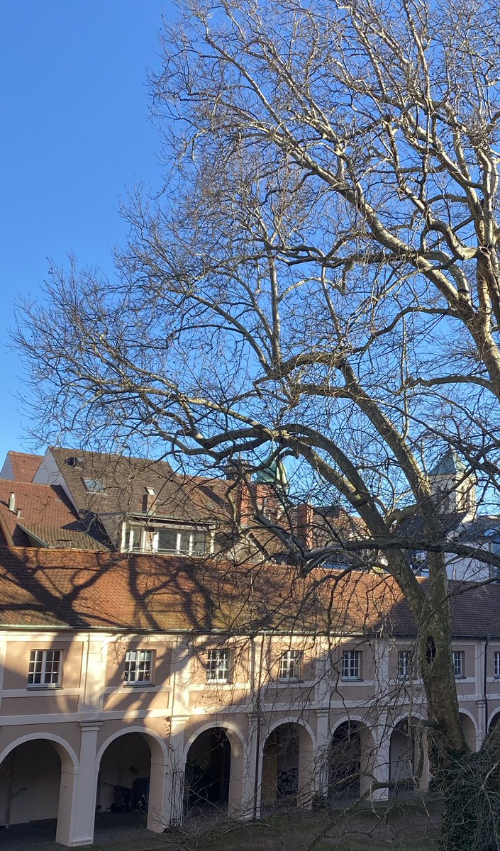 PublicIntLaw's tweet image. Discussing problems of #InternationalLaw and of the international
#community, e.g. #goodfaith #climatechange , and #AI regulation - with our students /seminar @UniFreiburg