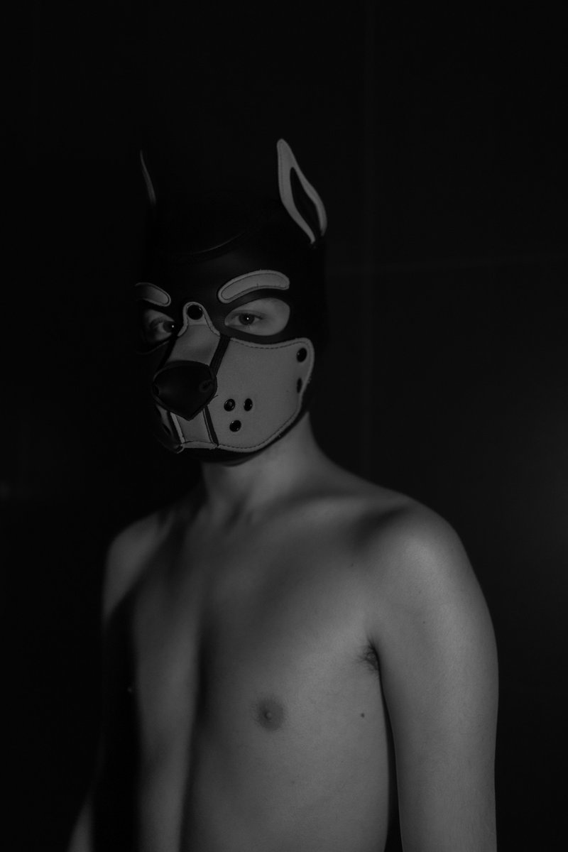 Puppy kiran (@sinaebnit) on Twitter photo 