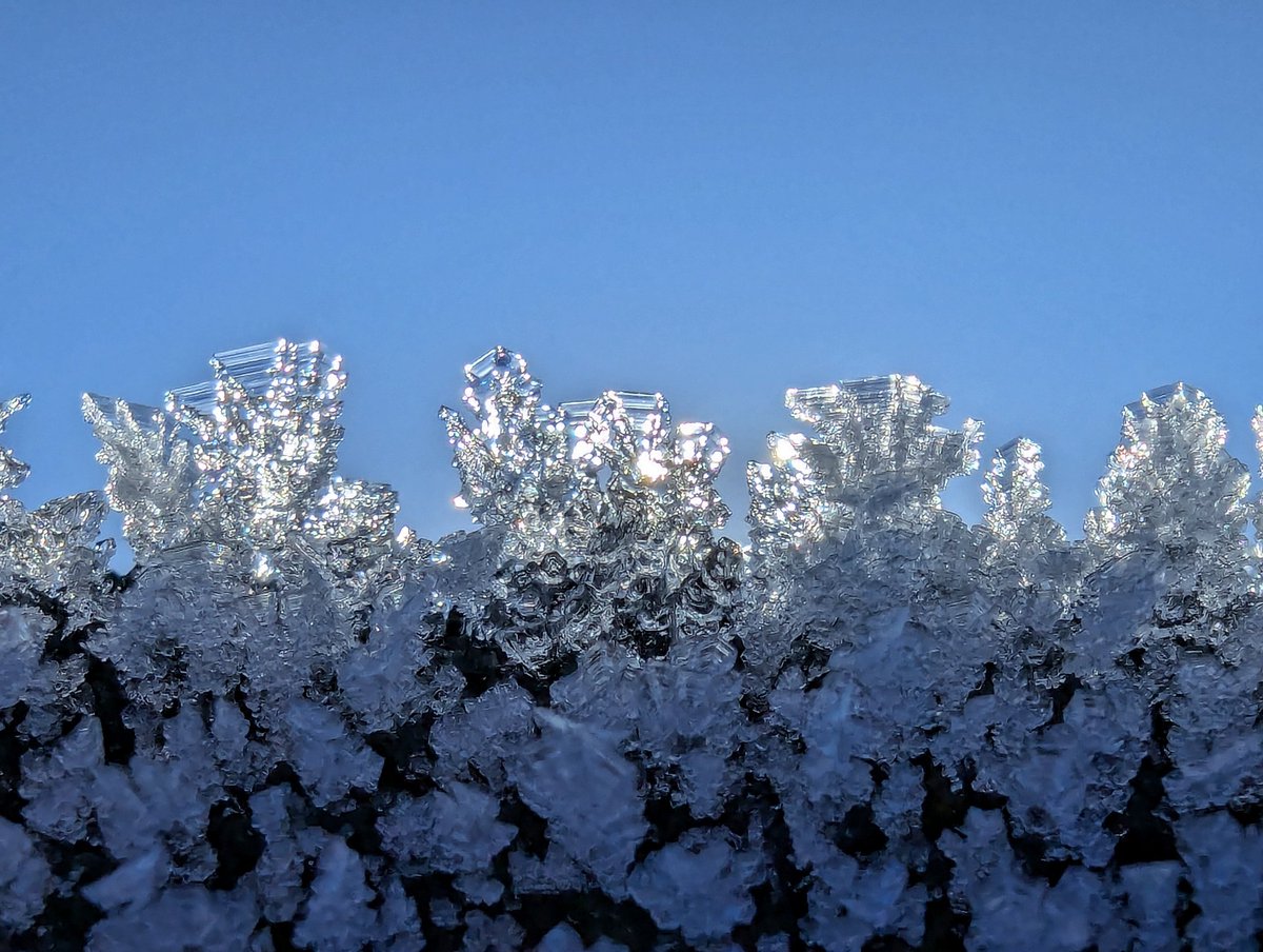 James8209100's tweet photo. More #frost & #ice pics 😄 Well it is my favourite type of winter weather! Midday temps were similar to yesterday in Carlisle @ -2.5⁰c 🥶 #ukcold #loveukweather https://t.co/HgUMZekZ1H