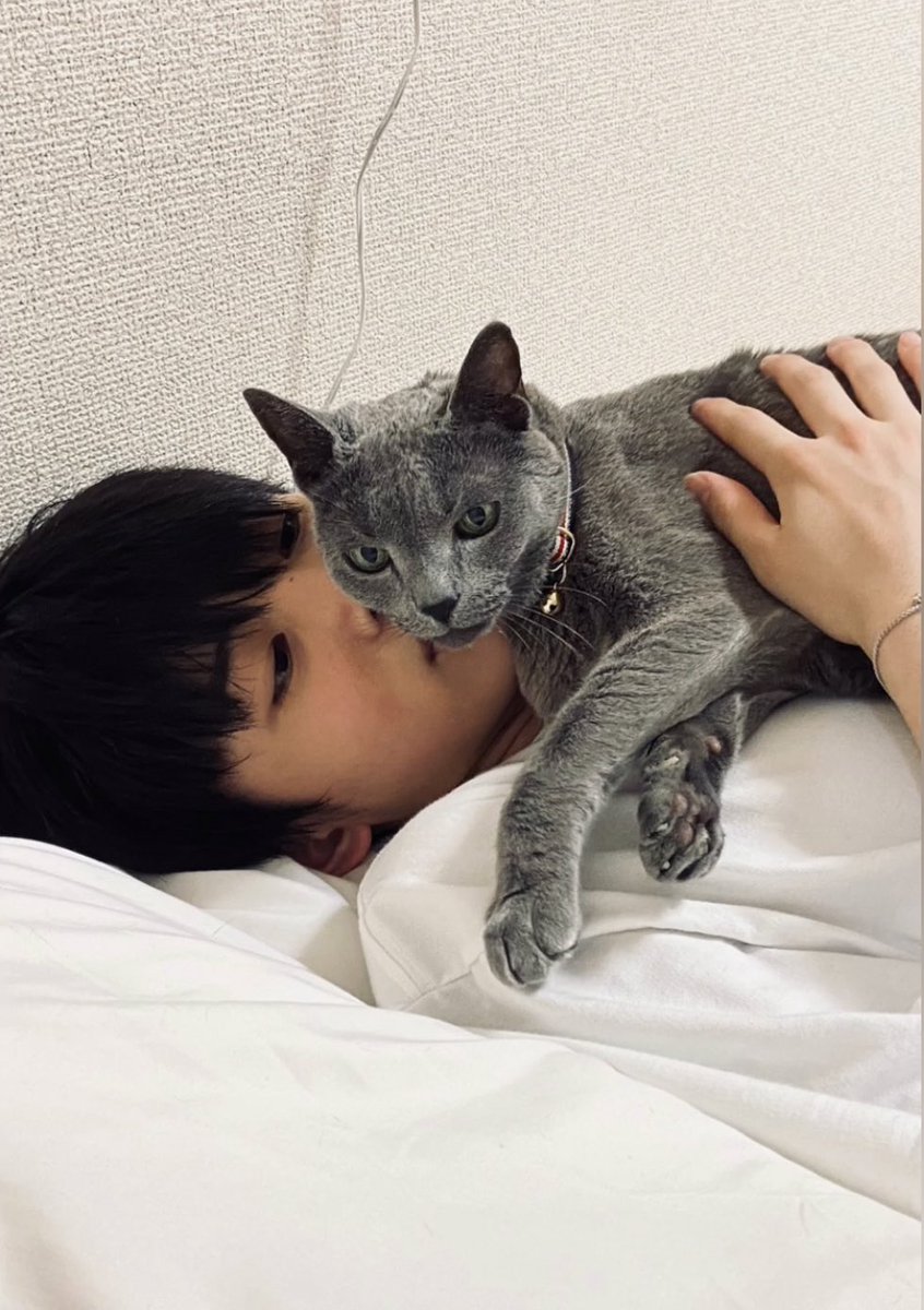 영원히 죠의 유일한 남동생일 민트야 고양이별에서도 행복해야해