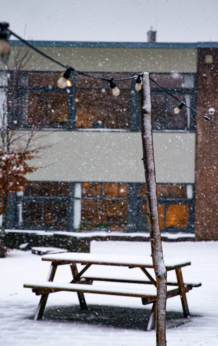 Our faculty turned into a winter wonderland!❄️