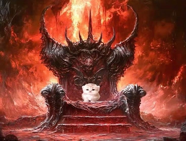 gaatosEstupidos's tweet image. "hoje  o  ceu  ganha  mais  uma  estrelinha"  eu  na  porra  do  quinto  dos  infernos: