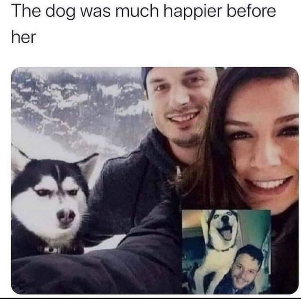 CD3Gator's tweet image. I agree with the dog here…this chick gotta go. ✌🏼👩🏻
#Animal Lovers  
#MorningHumor