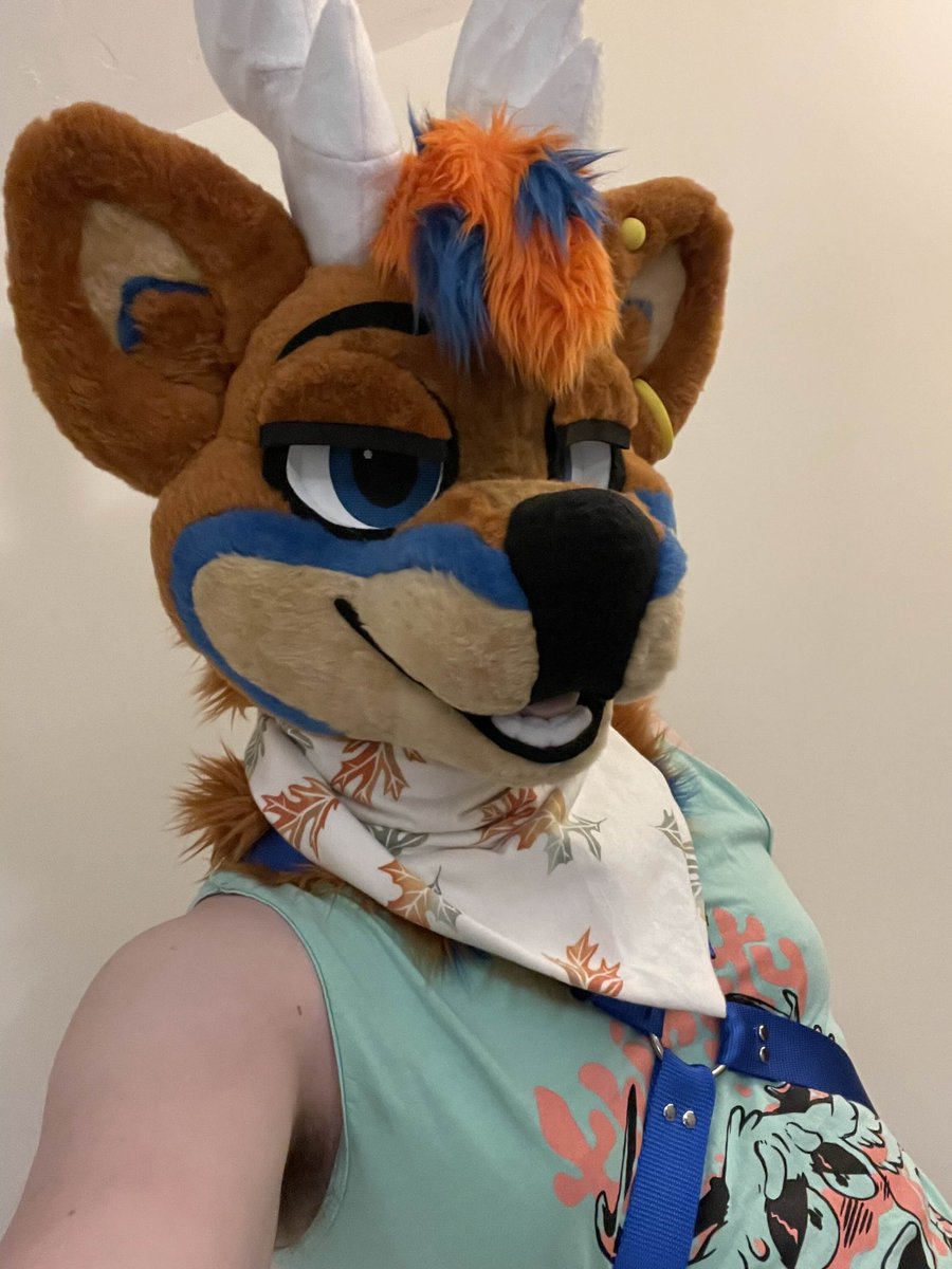 Pine! 🌲 🔜 FWA, AC tweet media