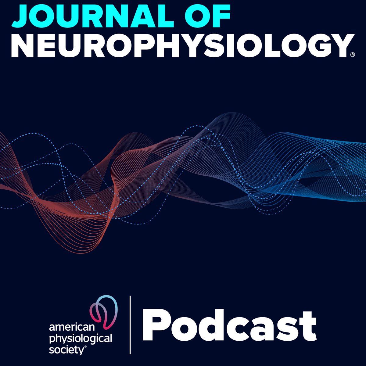 JNP (@jneurophysiol) on Twitter photo 🎧 In our latest podcast, coauthor <a href="/Igor_Alex_1981/">Igor A Fernandes</a> reveals surprising findings: Amiloride doesn't impair #BloodPressure regulation in healthy young adults! Dive into the implications of this study & learn about the role of ASICs in baroreflex sensitivity.
ow.ly/WjnY50UEcZy 🎧 In our latest podcast, coauthor <a href="/Igor_Alex_1981/">Igor A Fernandes</a> reveals surprising findings: Amiloride doesn't impair #BloodPressure regulation in healthy young adults! Dive into the implications of this study & learn about the role of ASICs in baroreflex sensitivity.
ow.ly/WjnY50UEcZy