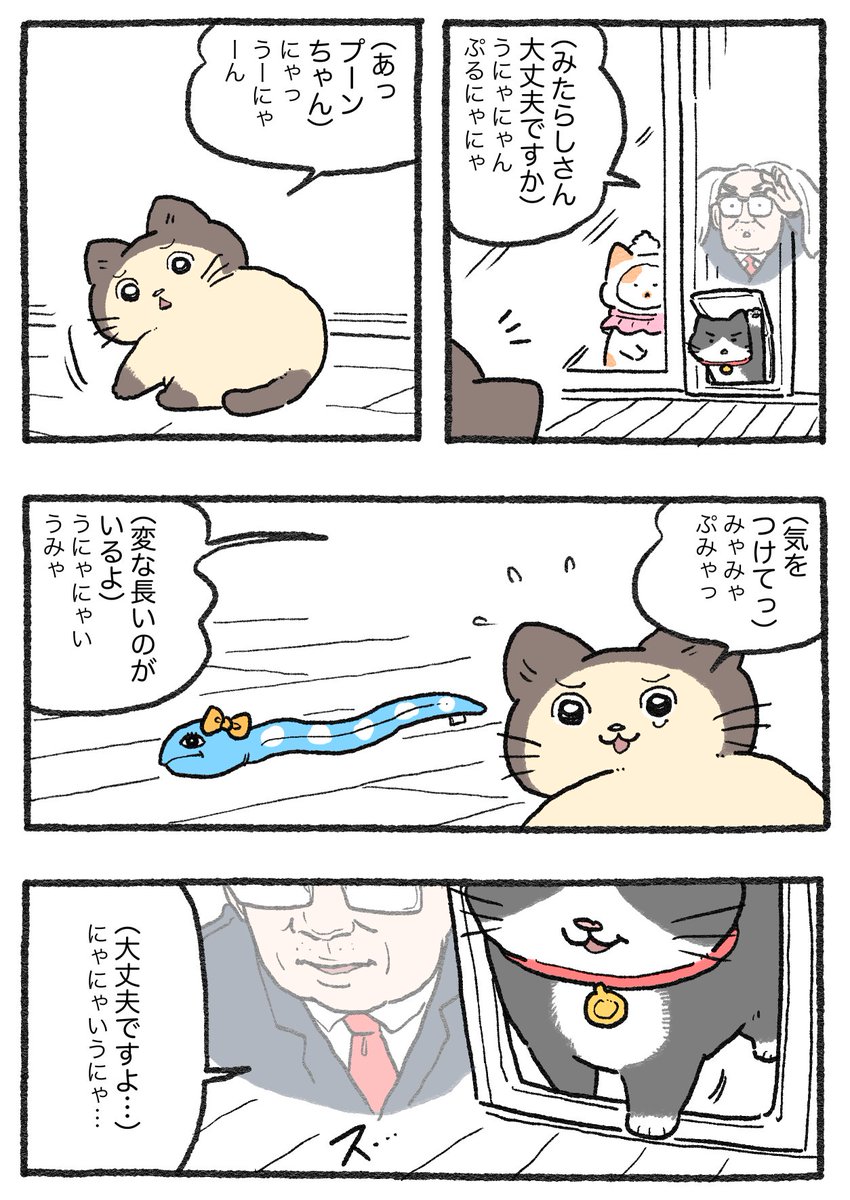 ねこに転生したおじさん。その627