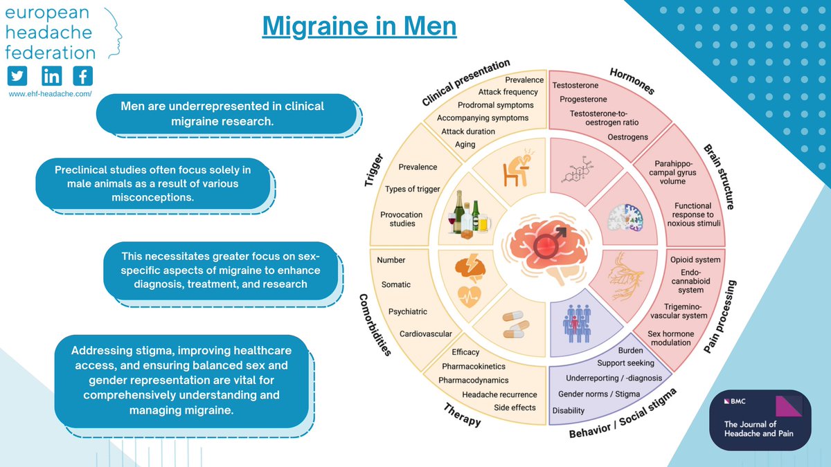 EHF_Official's tweet image. A new review delves into the epidemiology, clinical presentation, and particular challenges of migraine in men. It discusses sex-specific triggers, hormonal influences, and comorbid conditions affecting migraine prevalence and severity in men, read here: doi.org/10.1186/s10194…