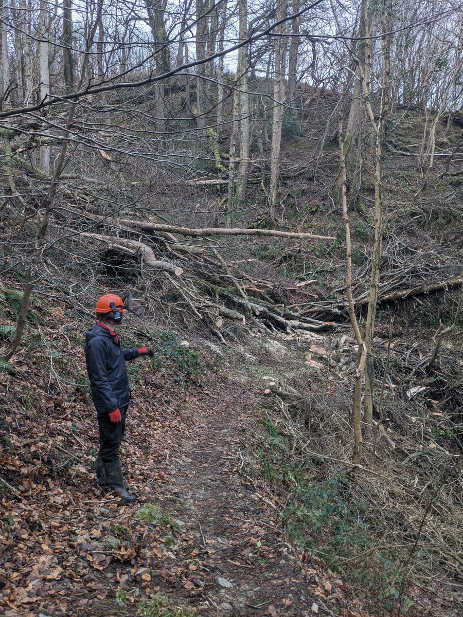 New year but the storm clear up continues. The team are currently working on clearing  the footpath from Watersmeet to Brendon. This fallen tree near Ash Bridge is just one of the many cleared this week.

 We appreciate your patience as we work to make the paths safe again.