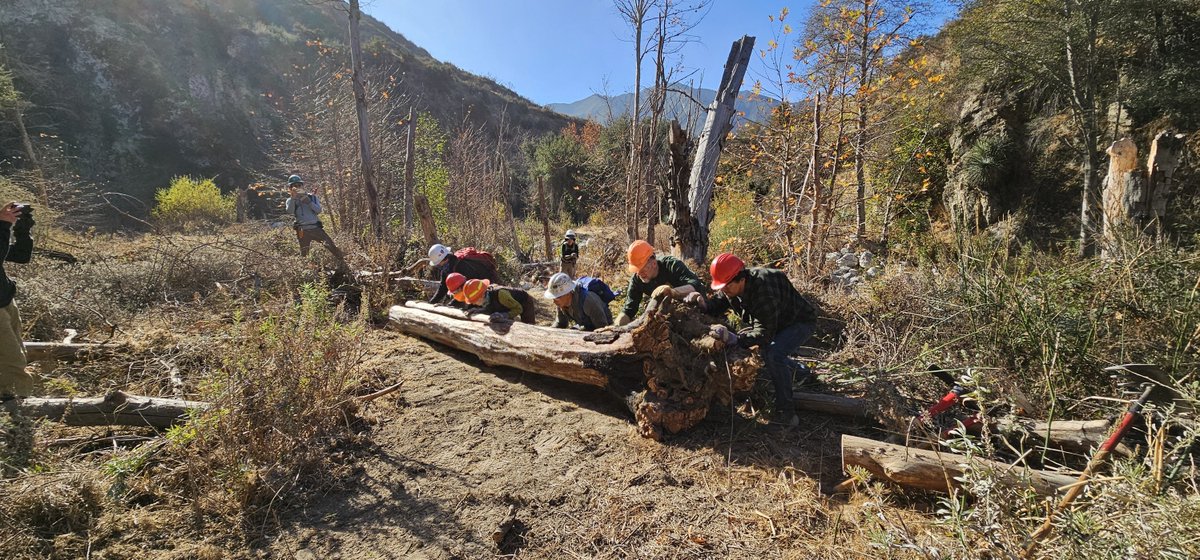 ⛰️San Gabriel Mountains Trailbuilders ⛰️ tweet media