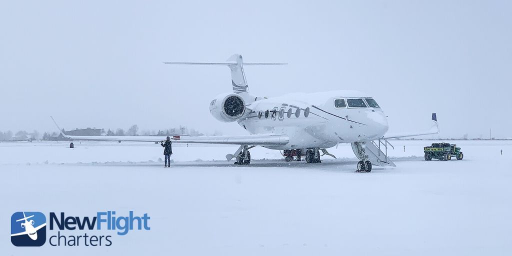 New Flight Charters tweet media