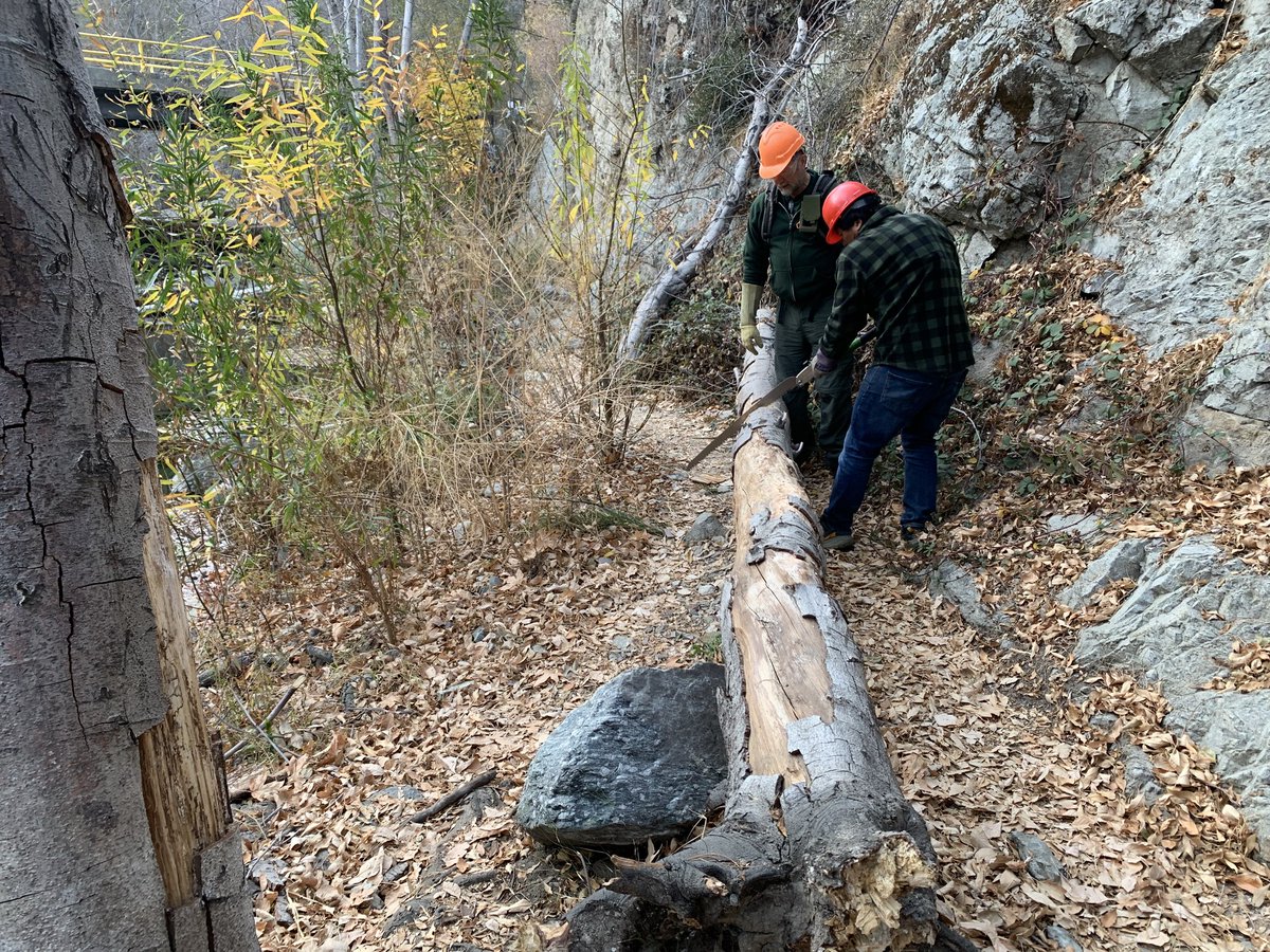 ⛰️San Gabriel Mountains Trailbuilders ⛰️ tweet media