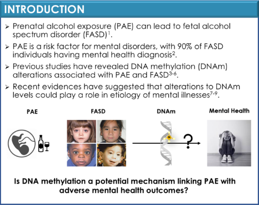 thelussierlab's tweet photo. 🎤🧬 Our Master’s student, Dailin Luo, presented at Clinical Research Day hosted by @massgeneralbrigham  exploring how PAE influences DNAm, connecting FASD to mental health outcomes. #Epigenetics #FASD #MentalHealthResearch https://t.co/VSIyVyq2TZ