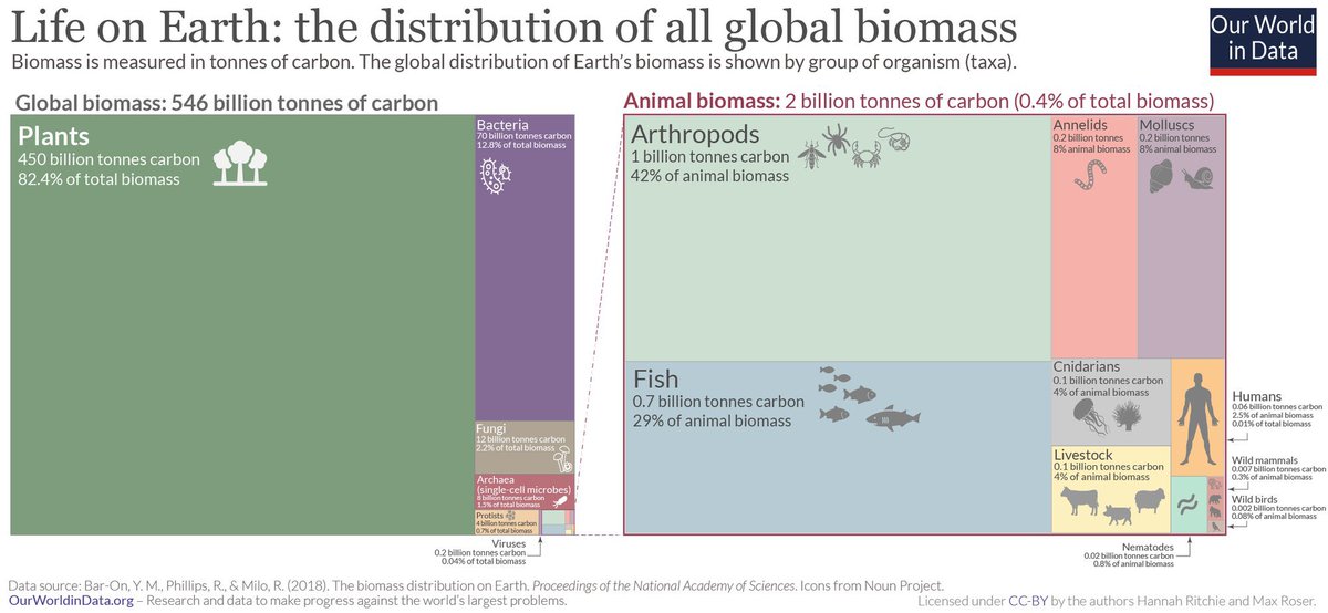 Far from earth being a ‘human’ planet, plants alone constitute approx. 82.4% of the 🌎 biomass (bacteria &amp; fungi a further 15% collectively). Animals only account for 0.47%, &amp; humans only 2.3%…all hail the green planet! There’s so much left to fight for🌱🦠🌳🍄🫶🏼 #Ecology