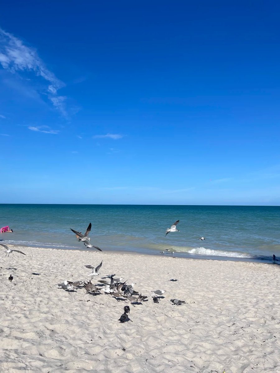 Leecoolanm's tweet image. Beautiful. The most relaxing time is now