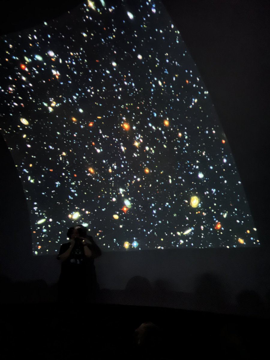 Newfold Year 5 tweet media