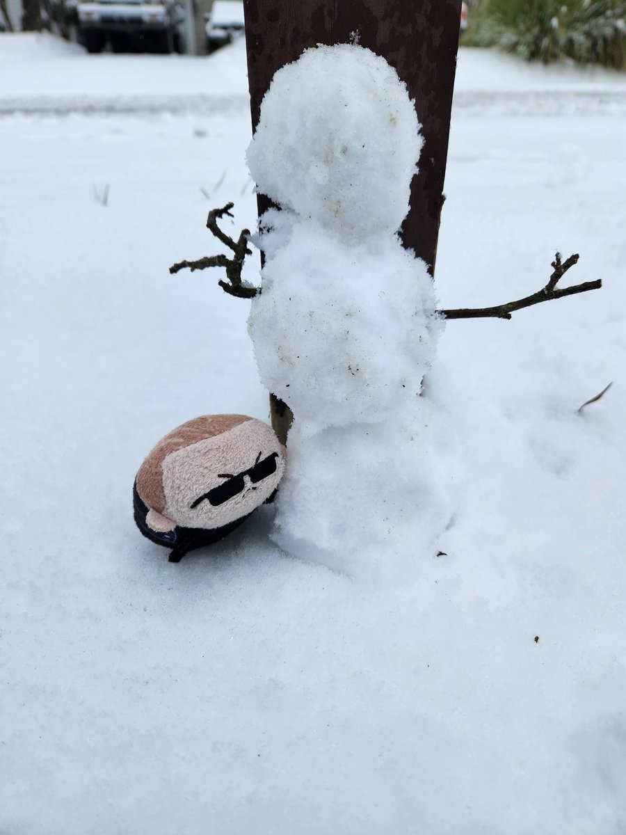 Bean's first snow #weskerbean #residentevil #wesker #albertwesker #snow #REBHFun
