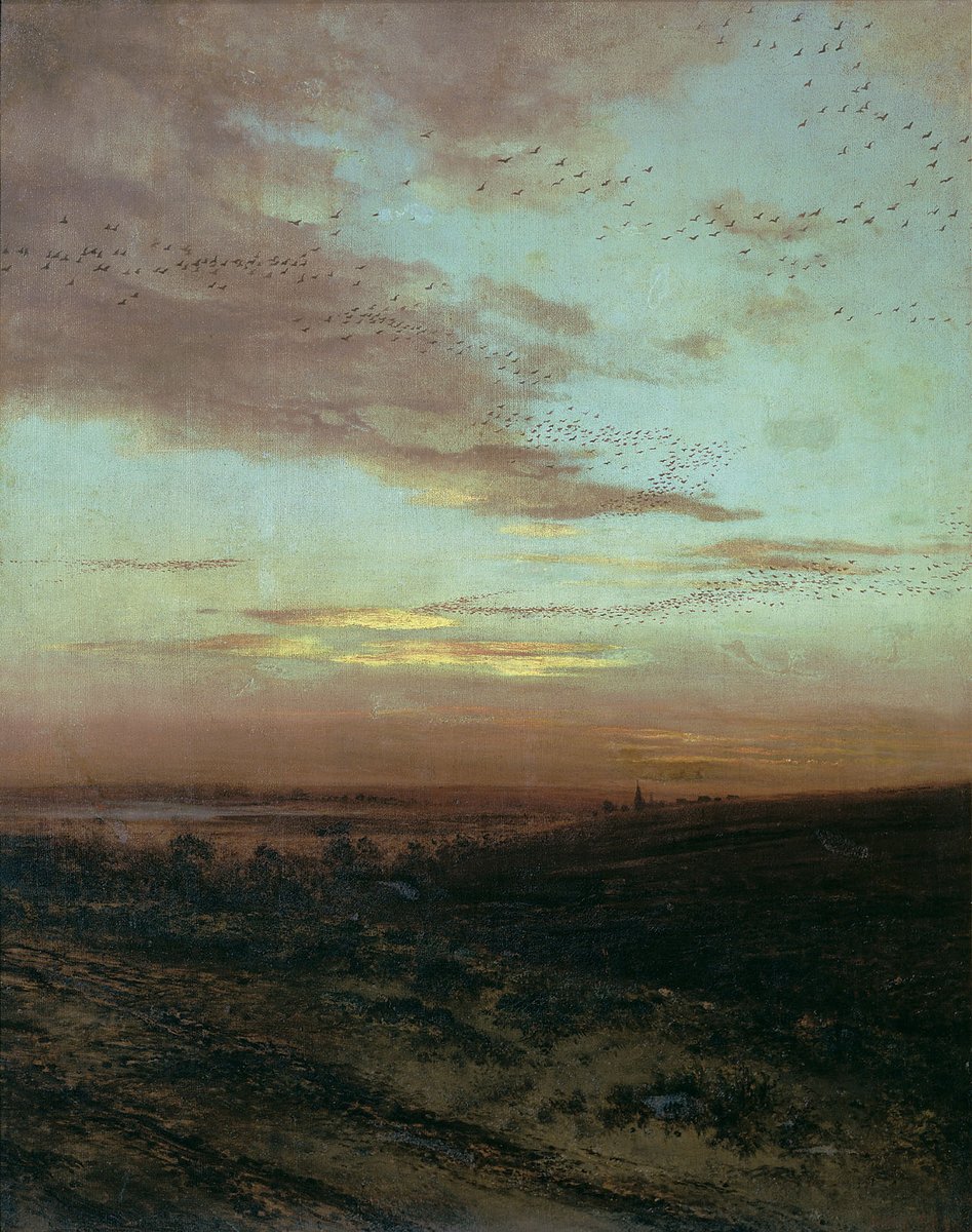 Evening Migration of birds