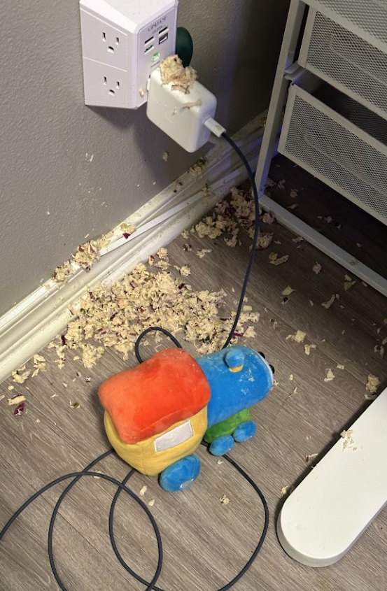 jamsvirtual's tweet photo. these are the only two photos ive taken of choochoopy https://t.co/AslzpFqITH