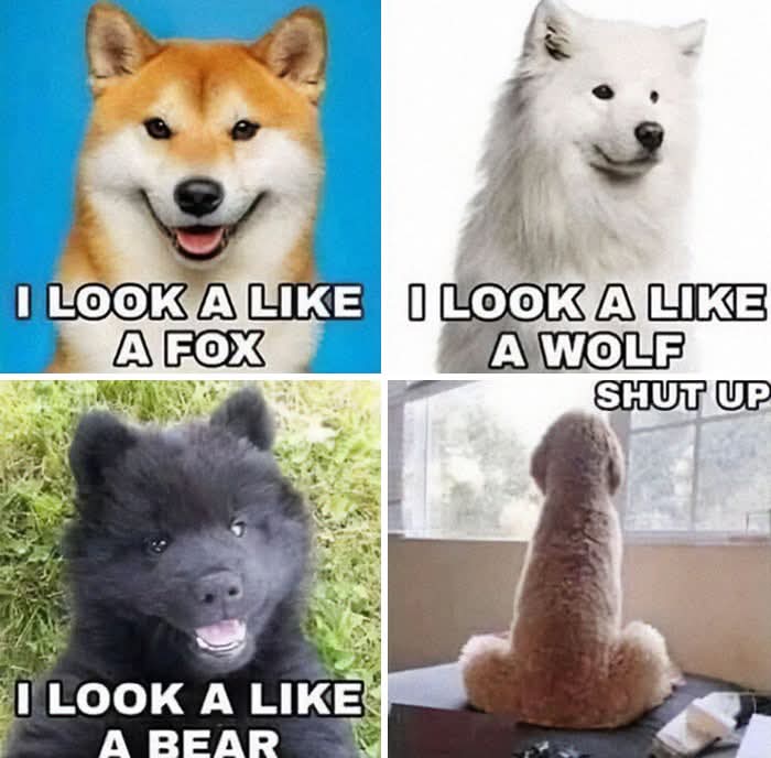 BillyCockerSpan's tweet image. No. I don't!