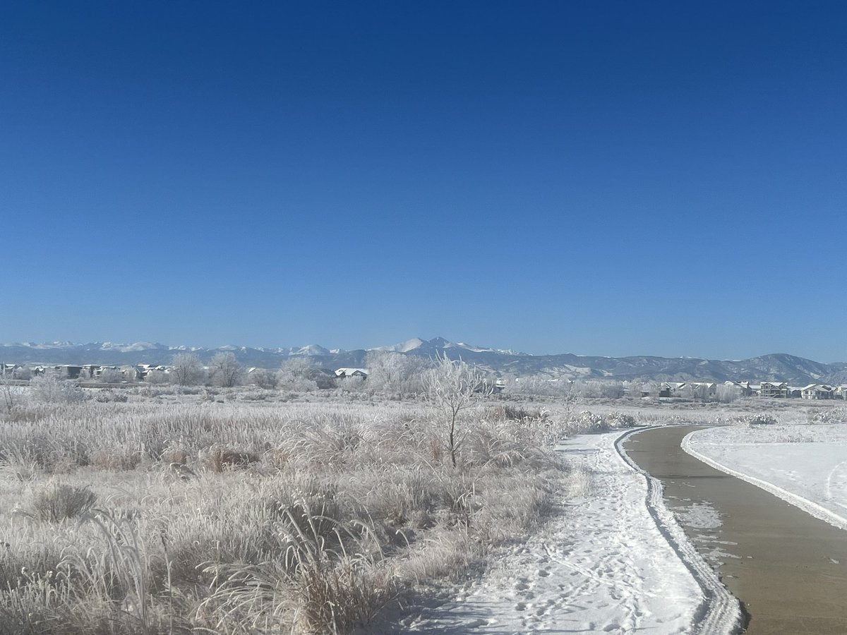 MaybeeAFemboy's tweet image. volibear sighted..?