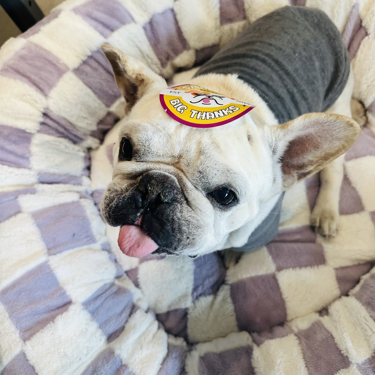 packing orders with some "help" 😏