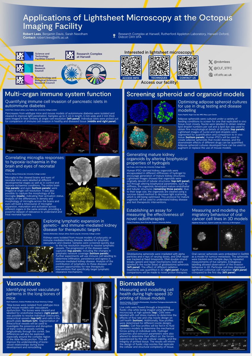 🚨FREE ACCESS TO ADVANCED MICROSCOPY!🚨

Deadline: 23rd Jan tinyurl.com/rcahcalls
Access: Jul-Dec 2025

Share with anyone who would benefit from advanced microscopy. 

We collaborate and support projects from start to finish.

You can ask/DM me about light sheet specifically😍