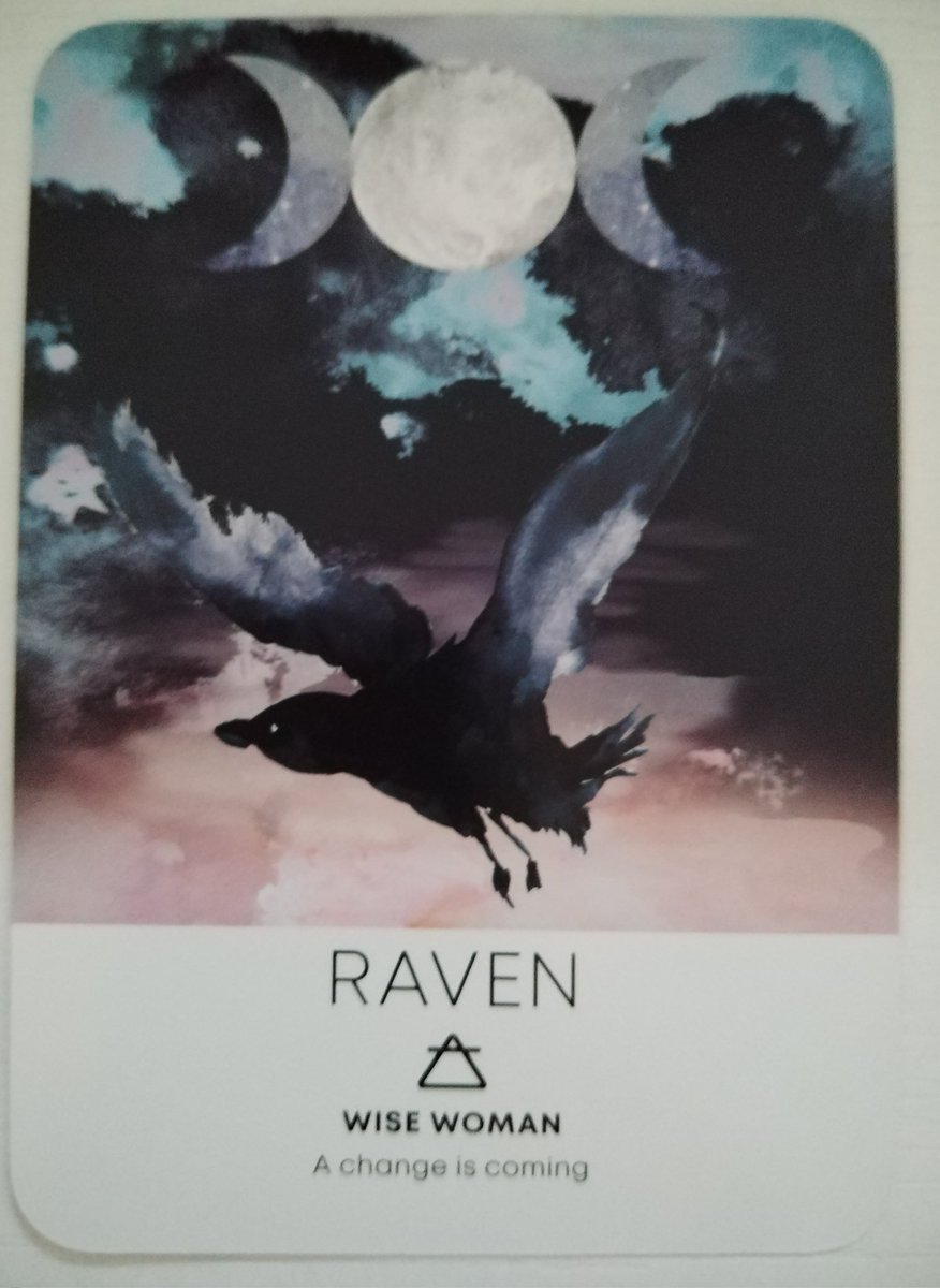 didsastrotarot's tweet image. #oracleoftheday 💫