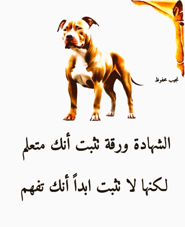 Yassir Hissein yacoub (@hissein_ya54384) on Twitter photo 