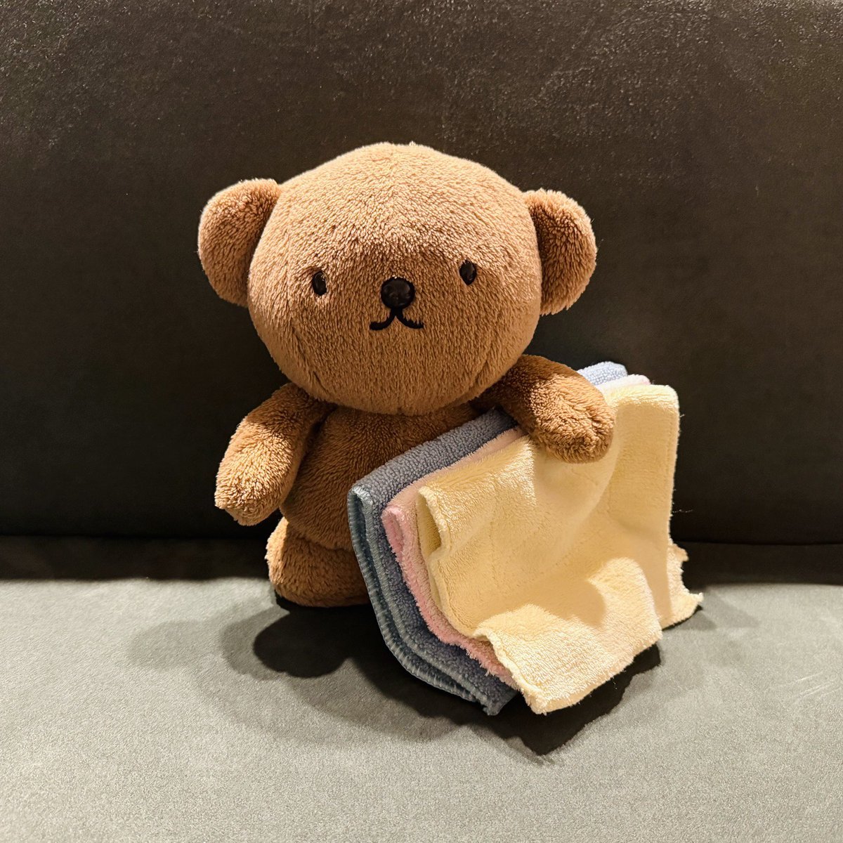 ( ・ᴥ・ )🧺✨