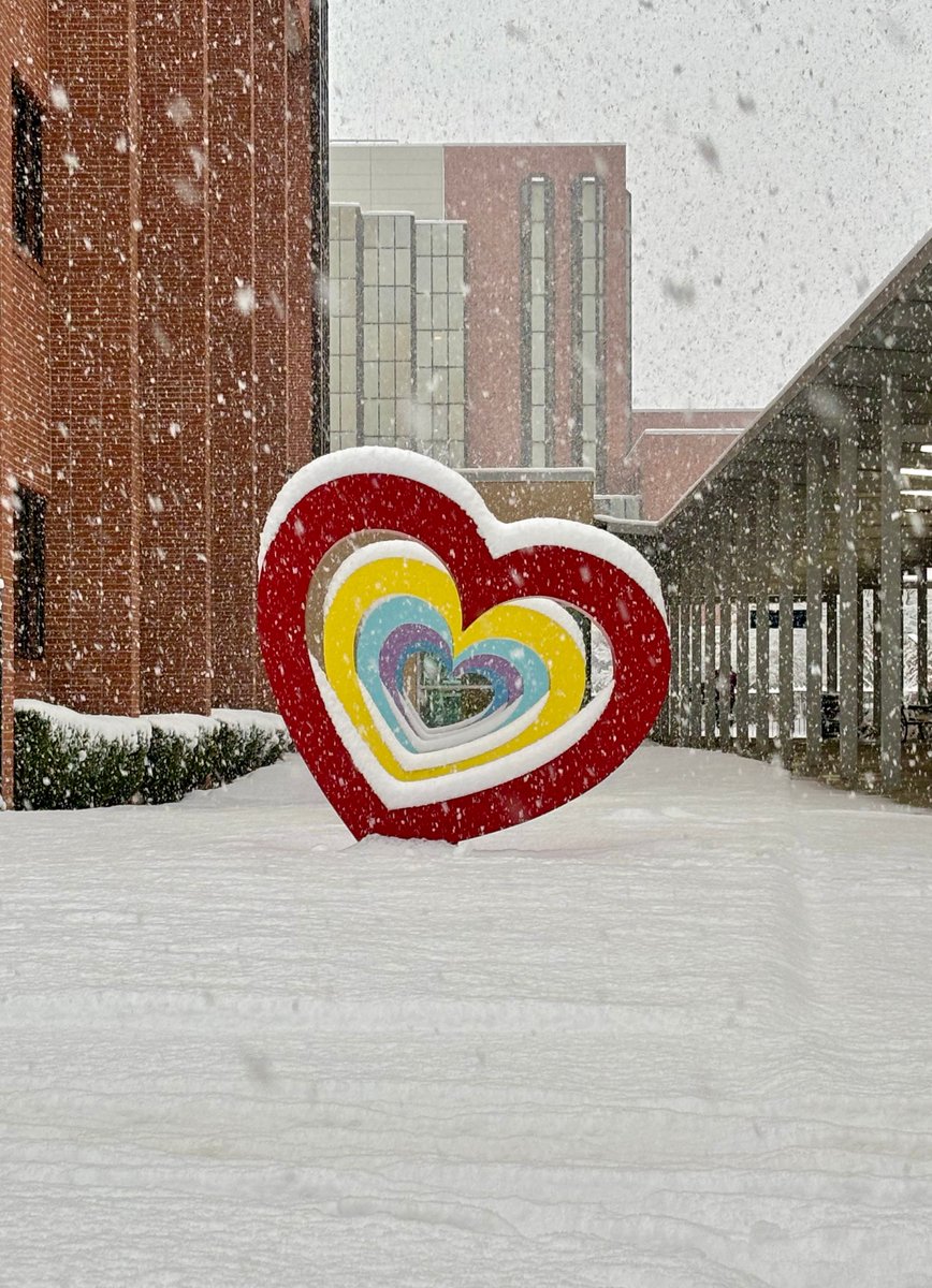 WMCActionNews5's tweet photo. 💛♥❄
(📸: Catherine Snyder) https://t.co/9z1AABdUA9