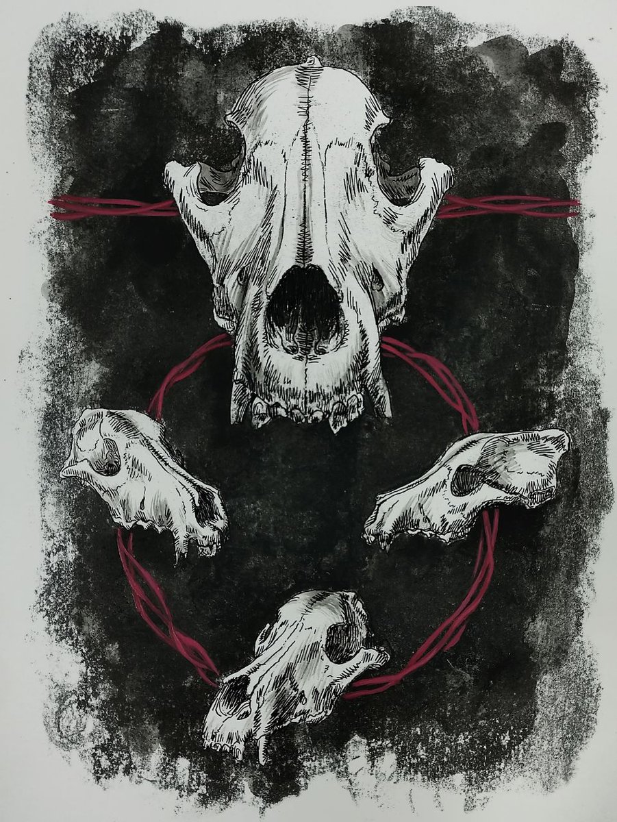 $SKULL Degen Club 💀 tweet media