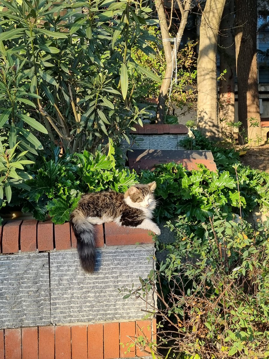 arkadaslar yildiz kampusune geldim bakin bu da kanıtı