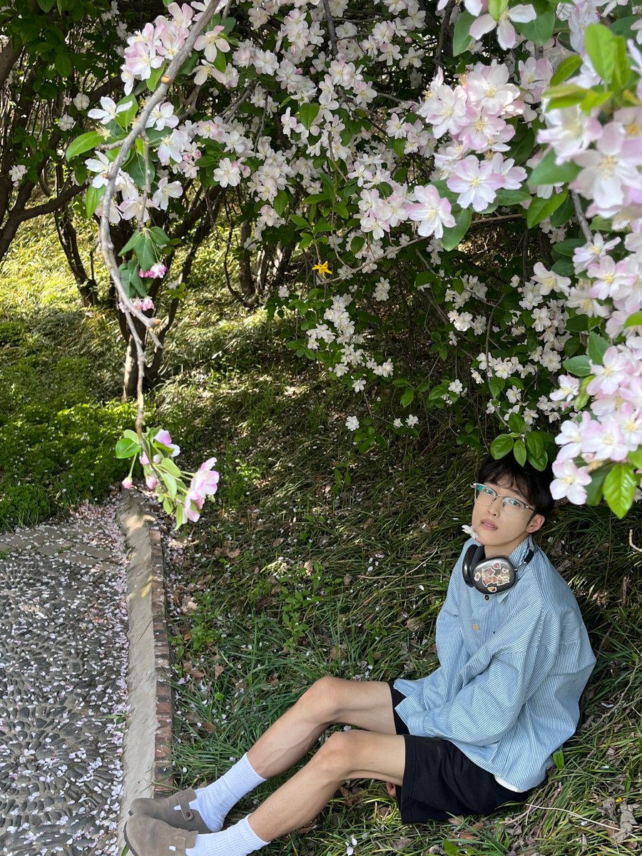 纸皮花生酥 (@polariaty) on Twitter photo 