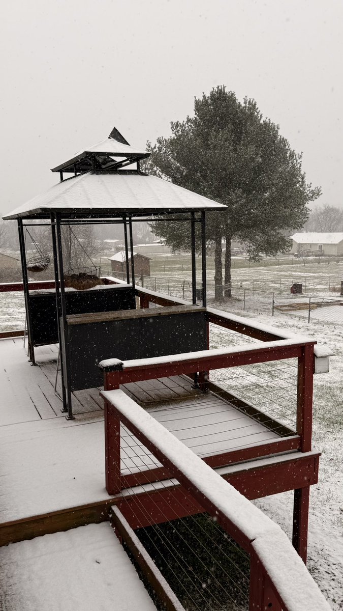 AddTheWOW's tweet image. Norene Tennessee. About an hour into the snow. @NashSevereWx